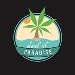Leaf Of Paradise